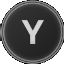 Y